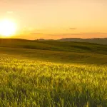 Marsilio e D’Annuntiis in visita a Canzano e Morro d’Oro: attenzione ai territori e alle comunità locali