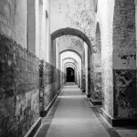 Reinserimento detenuti, la Regione Abruzzo prepara un Piano triennale tra formazione e inclusione