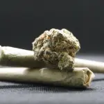 Spaccio in un alloggio occupato a Pescara: tre uomini arrestati dalla Squadra Mobile