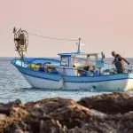 Fermo tecnico per la pesca dei molluschi bivalvi: stop dal 17 aprile al 31 maggio 2026
